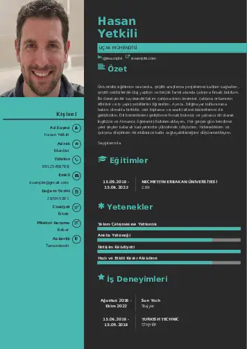 Havacılık Ve Uzay Uçak Mühendisi Cv Örnekleri cv indir
